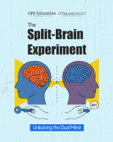 Split-brain Experiment.pdf